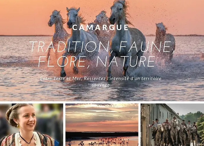 Sous Le Soleil * Parking Prive * Climatisation * Motte * La Grande-Motte